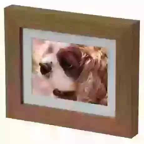 Mini Frame